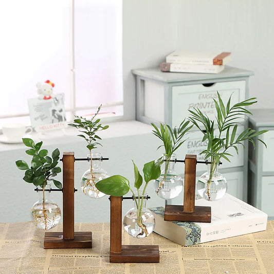Botanical Beauty Wooden Frame Glass Tabletop Plants Home Bonsai Decor